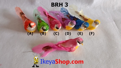 large2 BRH 3 b